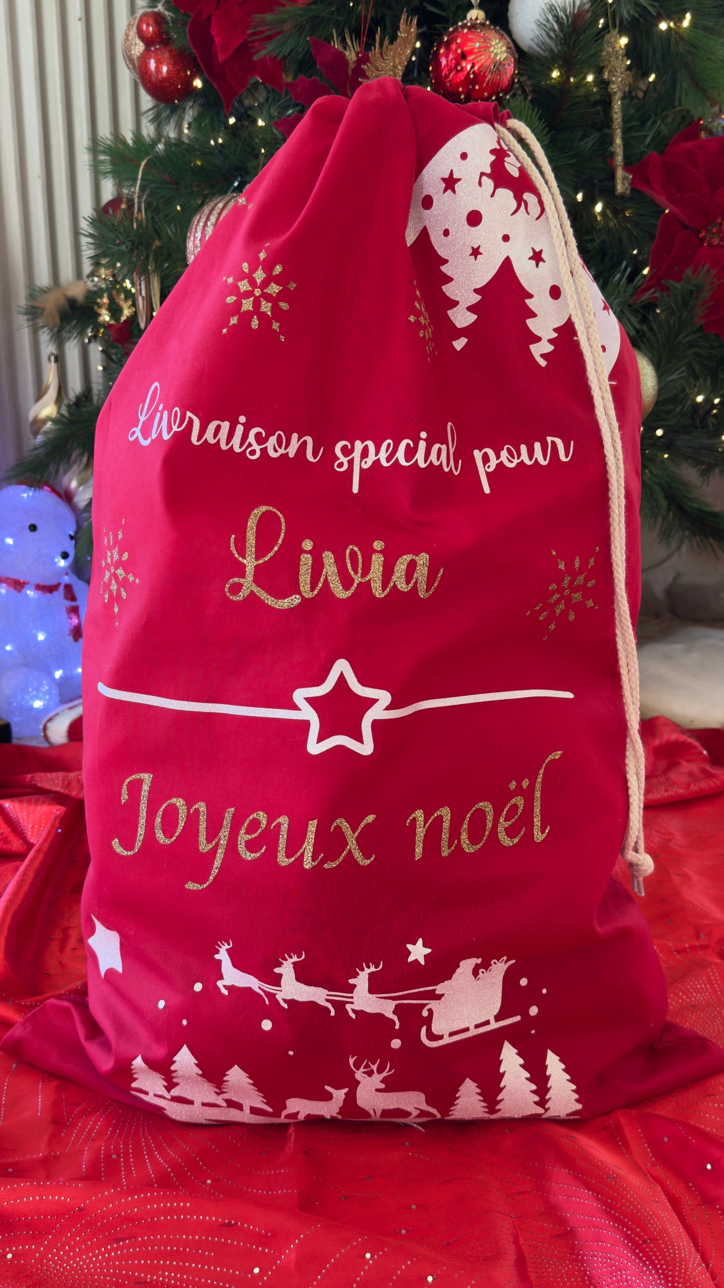 Hotte de noël